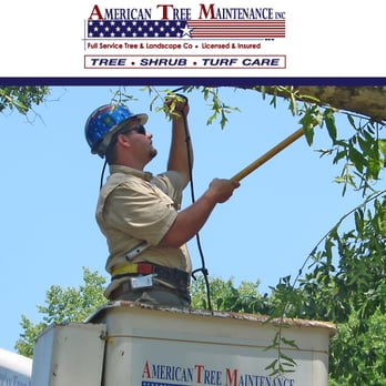 American Tree Maintenance - a man working on a tree - Landscaping Near Me - Columbiana, Alabama American Tree Maintenance - a man working on a tree - Landscaping Near Me - Columbiana, Alabama