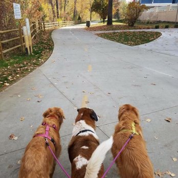 Downtown Hound - Pet Training Near Me - Boise, Idaho Downtown Hound - Pet Training Near Me - Boise, Idaho
