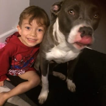 Copper's Dream Rescue - Junior with his "sither nala" - Animal Shelters Near Me Copper's Dream Rescue - Junior with his "sither nala" - Animal Shelters Near Me