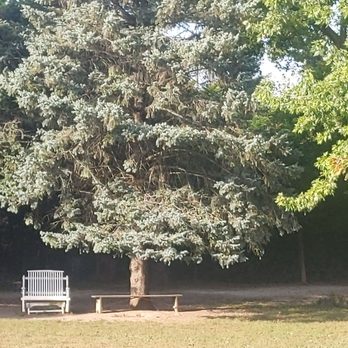 Muttland Meadows - The front entrance is open and inviting so come on in and play! - Dog Parks Near Me - Grafton, Wisconsin