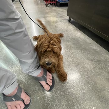 The K9X - Pet Boarding Near Me - New Braunfels, Texas The K9X - Pet Boarding Near Me - New Braunfels, Texas