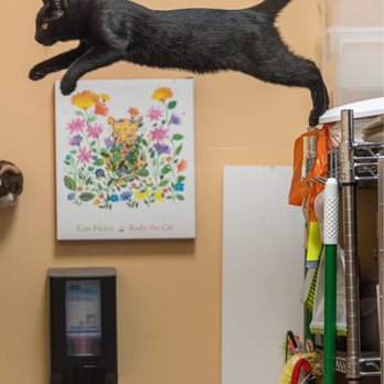 PetSmart - Simba - Pet Stores Near Me - Dallas, Texas PetSmart - Simba - Pet Stores Near Me - Dallas, Texas