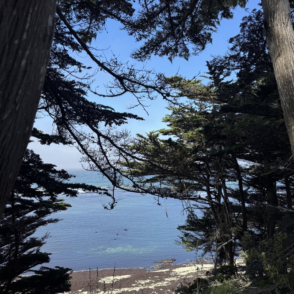 Fitzgerald Marine Reserve - Parks Near Me - Moss Beach, California