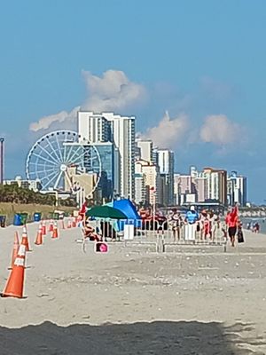 Wicked Tuna @ 2nd Avenue Pier by null