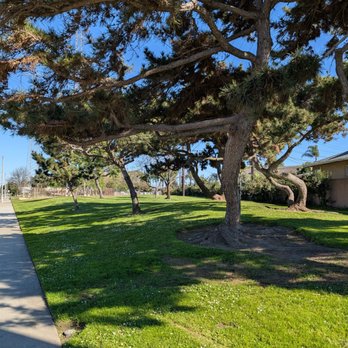 Candleverde Park - View of the park from the western corner - Dog Parks Near Me - Lakewood, California Candleverde Park - View of the park from the western corner - Dog Parks Near Me - Lakewood, California