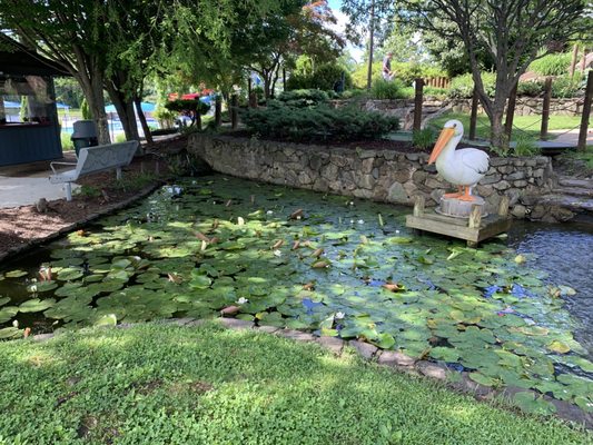 Upton Hill Regional Park