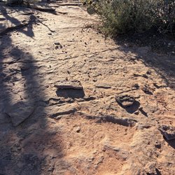 Tracks