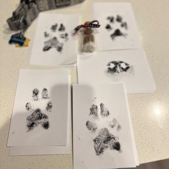 Veterinary Emergency Group - They made paw and nose prints for us - Emergency Pet Hospital Near Me - Denver, Colorado Veterinary Emergency Group - They made paw and nose prints for us - Emergency Pet Hospital Near Me - Denver, Colorado