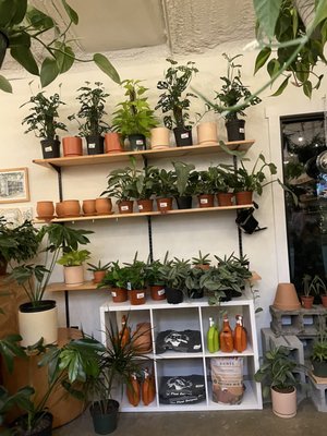 The Plant Outpost by null