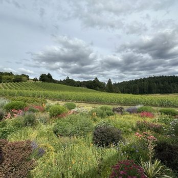 Patricia Green Cellars - Winery - Wineries Near Me - Newberg, Oregon