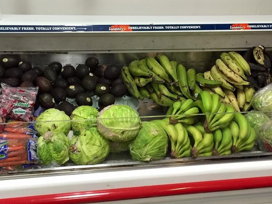 La Jalisciense by null