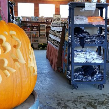Bob's Corn & Pumpkin Farm - Bob's Country Store - Pumpkin Patches Near Me - Snohomish, Washington Bob's Corn & Pumpkin Farm - Bob's Country Store - Pumpkin Patches Near Me - Snohomish, Washington