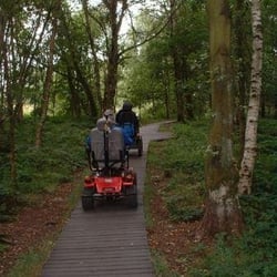 Breary Marsh Local Nature Reserve - From official website