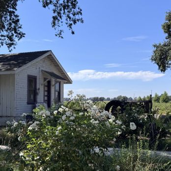 Heringer Estates - Fields - Wineries Near Me - Clarksburg, California