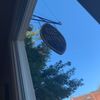 Rhino Coffee - Uptown gift card