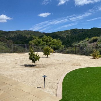 Clean & Green tree service & landscaping - Weed free citrus grove - Landscaping Near Me Clean & Green tree service & landscaping - Weed free citrus grove - Landscaping Near Me