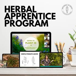 Artemisia Academy - This 150-hour hybrid program gives you everything you need to start your herbal journey:
Learn to make teas, tinctures, salves & more