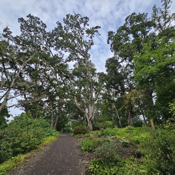 Hendricks Park - Parks Near Me - Eugene, Oregon