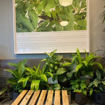 Kunst Coffee Haus - Coffee & Tea Near Me - Bayside, New York Kunst Coffee Haus - Coffee & Tea Near Me - Bayside, New York