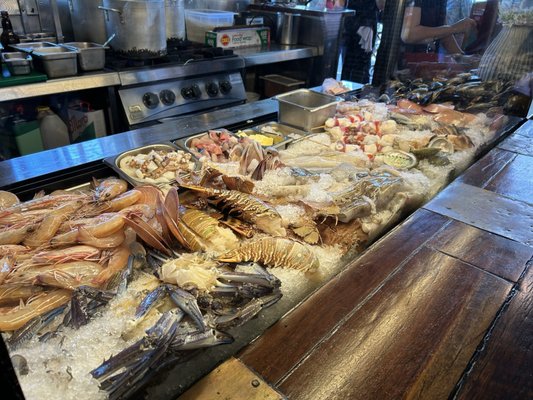 Claypots Evening Star by null