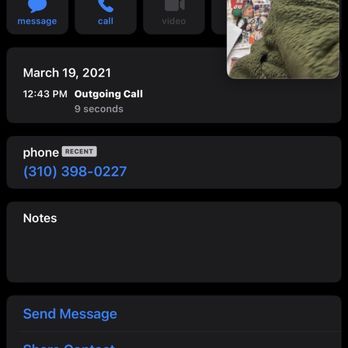 California Grooming - This is the outgoing call at 12:43 pm, Theodore was still in your shop. - Pet Groomers Near Me - Culver City, California