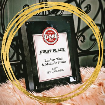 Doggidos - Lindsay + Madison - Winners of the BEST OF THE BEST pet groomers award in Knox County. - Pet Groomers Near Me - Galesburg, Illinois Doggidos - Lindsay + Madison - Winners of the BEST OF THE BEST pet groomers award in Knox County. - Pet Groomers Near Me - Galesburg, Illinois