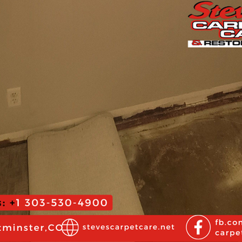 Steve's Carpet Care - Carpet Cleaning Near Me - Westminster, Colorado Steve's Carpet Care - Carpet Cleaning Near Me - Westminster, Colorado