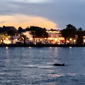 Red Boat Water Tours - Night lights and dolphin pod! - Boat Tours Near Me - Saint Augustine, Florida Red Boat Water Tours - Night lights and dolphin pod! - Boat Tours Near Me - Saint Augustine, Florida