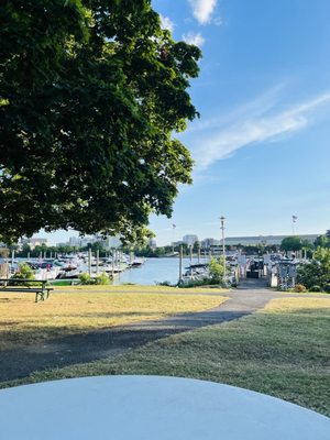 Adventures Unbound: Columbia Island Marina by null