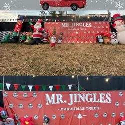 Mr Jingle's Christmas Trees - West Palm Beach - Christmas trees