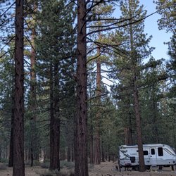 Old Shady Rest Camground - Lots of nice, flat campsites.
