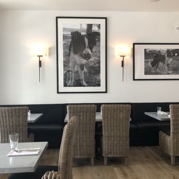 The Dewey - Indoor dining - Wine Bars Near Me - St Pete Beach, Florida