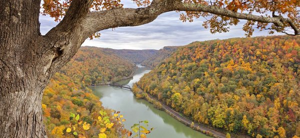 Hawks Nest State Park by null