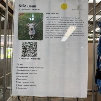 Hawaiian Humane Society - Animal Shelters Near Me - Honolulu, Hawaii Hawaiian Humane Society - Animal Shelters Near Me - Honolulu, Hawaii
