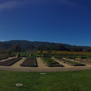Brix - Panaoramic view of the vineyard - New American Near Me - Napa, California Brix - Panaoramic view of the vineyard - New American Near Me - Napa, California
