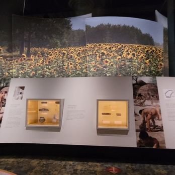 Tennessee State Museum - Museums Near Me - Nashville, Tennessee