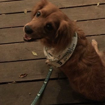 Shangri-La - Dog friendly patio!! - Lounges Near Me - Austin, Texas