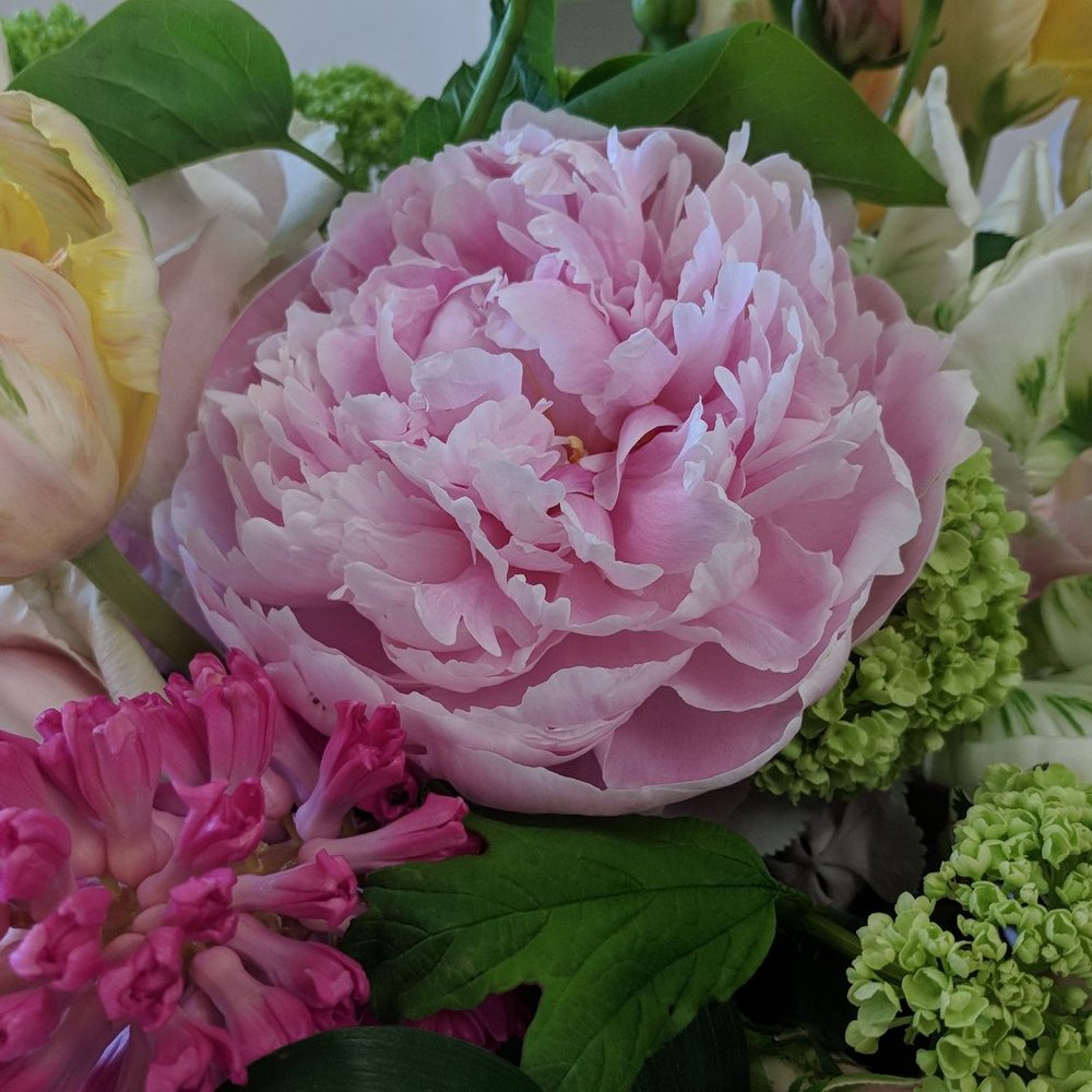 Parie Designs - Gorgeous peonies! - Wedding Planning Near Me - Amarillo, Texas Parie Designs - Gorgeous peonies! - Wedding Planning Near Me - Amarillo, Texas