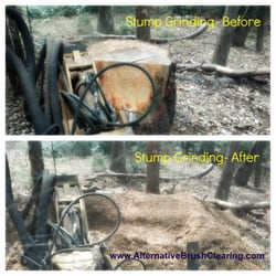 Alternative Brush Clearing - Stump grinding