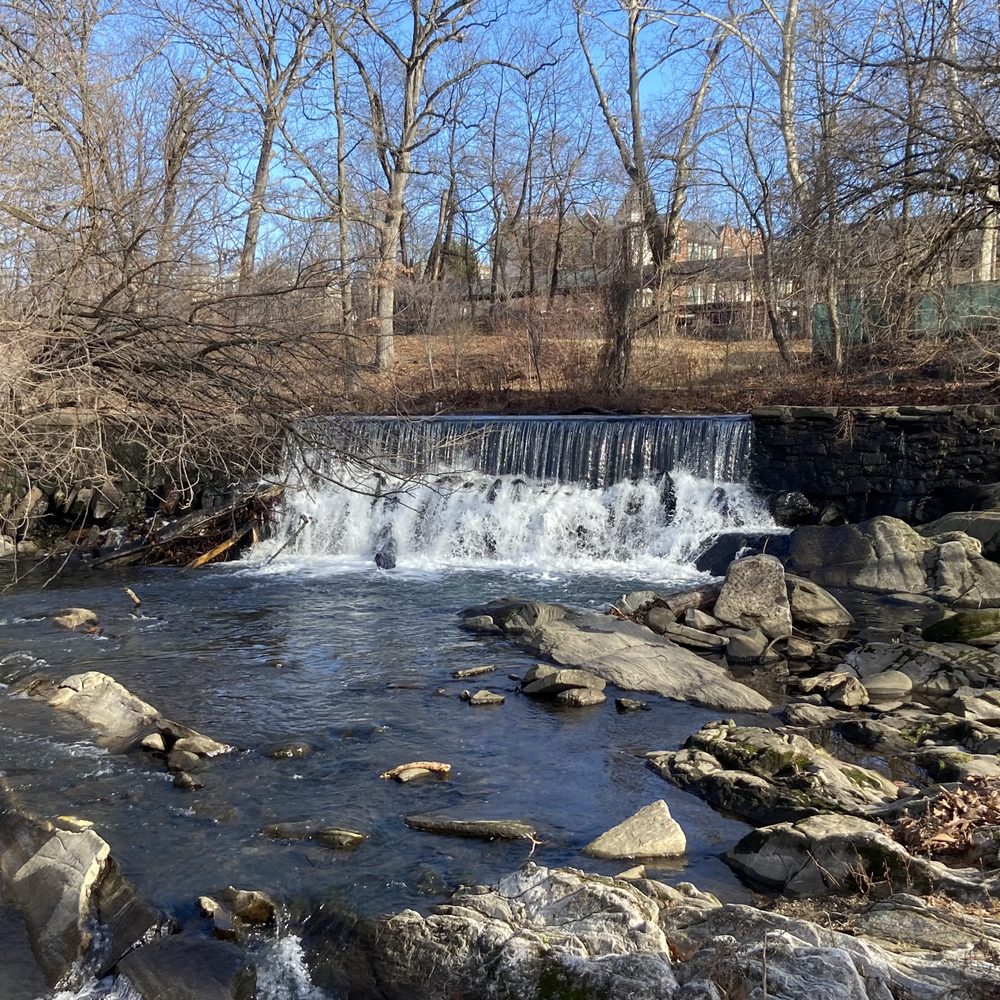 Bronx River Pathway - Parks Near Me - Bronxville, New York Bronx River Pathway - Parks Near Me - Bronxville, New York