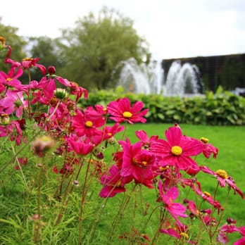 Trädgårdsföreningen - Botanical Gardens Near Me - Göteborg, O