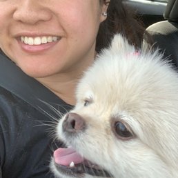 Lashes by Nicky! (On the human, not the pup haha) Lashes by Nicky! (On the human, not the pup haha)