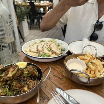 Brava Garden Eatery - Brussel Sprouts, Kalesar Salad with chicken, habanero feta fries - Wine Bars Near Me - Pleasanton, California Brava Garden Eatery - Brussel Sprouts, Kalesar Salad with chicken, habanero feta fries - Wine Bars Near Me - Pleasanton, California