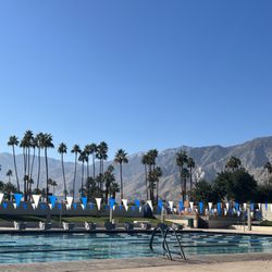 The Palm Springs Swim Center - Mountain View!