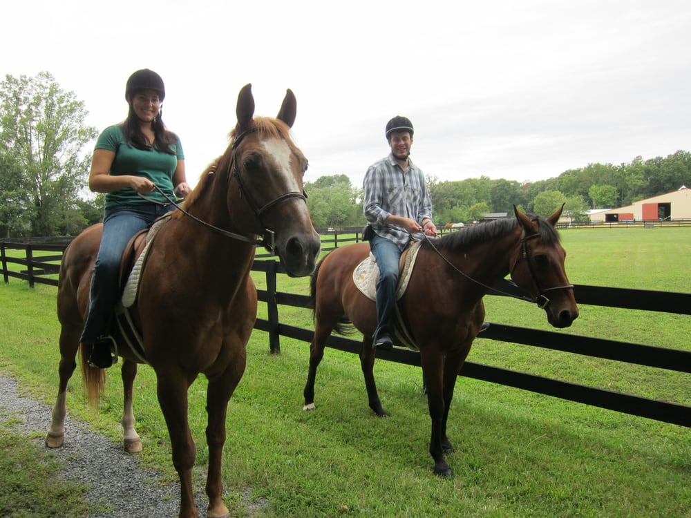 Country Comfort Farm - equestrian in Saint Michaels, MD