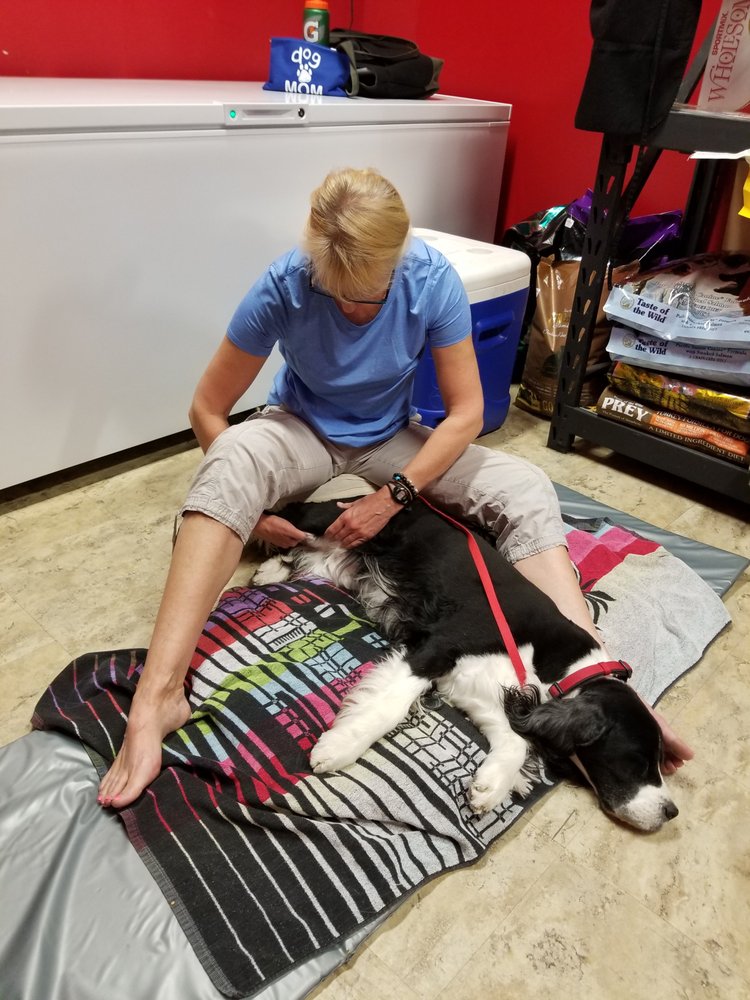 FOUR PAWS HOLISTIC THERAPY Updated July 2024 5650 S Curtice St