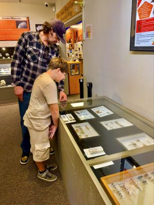 Hi-Desert Nature Museum by null