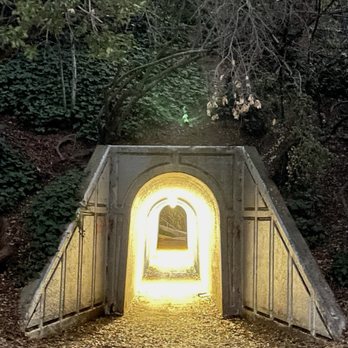 Codornices Park - 01.17.2025 - Parks Near Me - Berkeley, California Codornices Park - 01.17.2025 - Parks Near Me - Berkeley, California