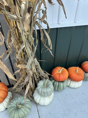 Big Red Orchard by null