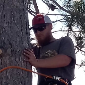 Scribner Tree & Lawn Service - Tree Services Near Me - Staples, Minnesota